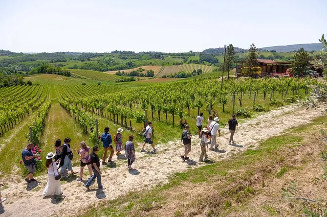 Tagesausflug in die Toskana: Siena, San Gimignano, Pisa & Mittagessen auf dem Weingut