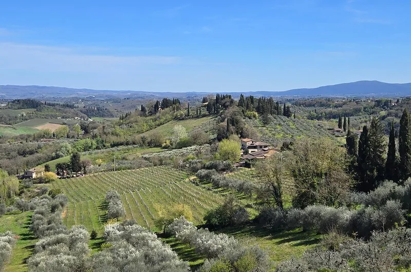 Siena & San Gimignano in kleiner Gruppe mit Mittagessen auf dem Weingut